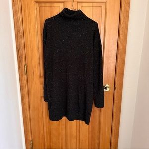 Everlane Turtleneck Dress